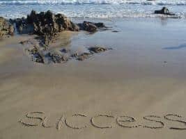 online business success